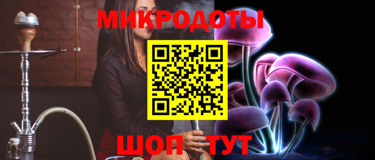 Псилоцибиновые грибы Cubensis  Вход с VPN  Красный Сулин 