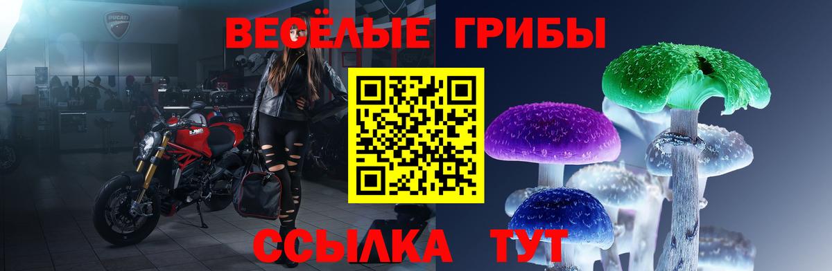 Галлюциногенные грибы Cubensis Красный Сулин